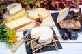 Camembert of Normandy with different cheeses Royalty Free Stock Photo