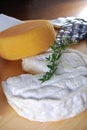 Camembert and port salut cheese Royalty Free Stock Photo