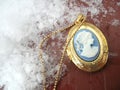 Cameo Necklace in the Snow Royalty Free Stock Photo