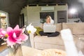 Camera approaching joyful positive Caucasian young beautiful woman sitting in apartment on sofa typing on laptop surfing Royalty Free Stock Photo