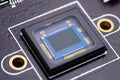 Camera censor chip