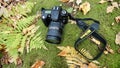 The camera in the fall