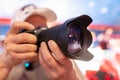 Camera in the hands of a male photographer. Close-up