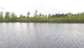 View from the forest river to the shore during the flood