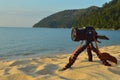 Camera Nikon stay on tripod on the sand background is mountains