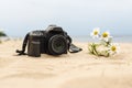 Camera on the sand and growing chamomile flower