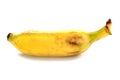 Single banana Royalty Free Stock Photo