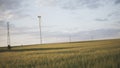 Green rye in front of wind turbine