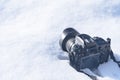 Camera in the snow, winter photo session 2019
