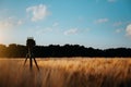 Camera on tripod capturing landscape in wheat field, silhouette on sunset sky with whie moving clouds in background