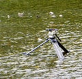 Camera tripod, standing in shallow river.