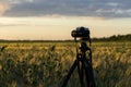 Camera tripod sunset Royalty Free Stock Photo