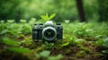 CameraSearchEarth day spring holiday concept. Small green leaves grow natrally,