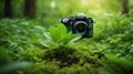 CameraSearchEarth day spring holiday concept. Small green leaves grow naturally