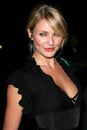 Cameron Diaz Royalty Free Stock Photo