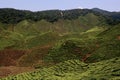 Cameron Highlands Royalty Free Stock Photo