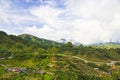 Cameron Highlands of Malaysia