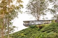 CAMERON HIGHLANDS, MALAYSIA, APRIL 6, 2019: BOH Sungai Palas Tea center offers scenic view with cafe and shop, popular tourism