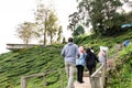 CAMERON HIGHLANDS, MALAYSIA, APRIL 6, 2019: Tourist making their way to BOH Sungai Palas Tea center, popular tourism spot at Royalty Free Stock Photo