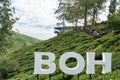 Scenic view of the BOH Tea Farm At Cameron Highlands. Royalty Free Stock Photo