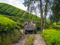 Cameron Highlands Valley, Malaysia : tea plants plantation farm, Malaysia hills industry workers