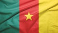 Cameroon flag with fabric texture