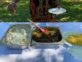 Cameroonian food Fufu, Eru and Garri