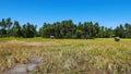 Camiguin rice fields