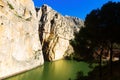 Caminito del Rey in rocky canyon. Andalusia