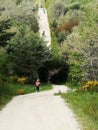 Camino de Santiago / Day 10 / Pilgrims Walking Up and Down