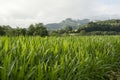 Camino de Santiago from Saint Jean Pied de Port to Roncesvalles via Valcarlos Royalty Free Stock Photo