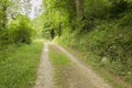 Camino de Santiago from Saint Jean Pied de Port to Roncesvalles via Valcarlos Royalty Free Stock Photo