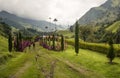 Camino en el valle de cocora, Salento. Eje cafetero, colombia Royalty Free Stock Photo