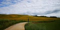 Camino de Santiago / Day 6 / Fields and Sky in Navarra, Spain