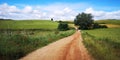 Camino de Santiago / Day 6 / Breathtaking Landscape Idyll in Navarra, Spain Royalty Free Stock Photo