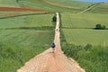 Camino Frances hiking pilgrims in rural landscape Royalty Free Stock Photo