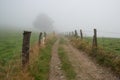 Camino Primitivo, Asturias, Spain