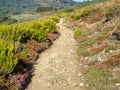 Camino track at Punto Alto - Manjarin