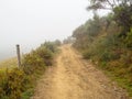 Camino track disappearing in the fog - Laguna de Castila