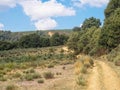 Camino track - Foncebadon