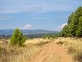 Camino track - Rabanal del Camino