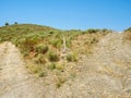 Camino waymark at a fork in the dirt road - San Fiz de Seo