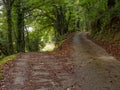 Camino waymark at a fork in the dirt road - Triacastela Royalty Free Stock Photo