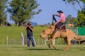 CAMINOS, CANELONES, URUGUAY, OCT 7, 2018: Gaucho riding on a wild untamed horse at a Criolla Festival in Uruguay