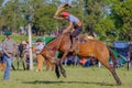 CAMINOS, CANELONES, URUGUAY, OCT 7, 2018: Gaucho riding on a wild untamed horse at a Criolla Festival in Uruguay