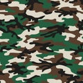 Abstract camouflage pattern Royalty Free Stock Photo