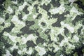 Camoflauge green ,black and white color pattern abstract grunge background