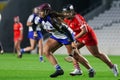 Camogie Leagues Division 1 - Cork 1-18 vs Waterford 0-12