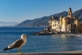Camogli, Liguria, Italy picturesque fishermen village with seagull Royalty Free Stock Photo