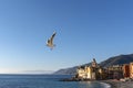 Camogli, Liguria, Italy picturesque fishermen village with seagull Royalty Free Stock Photo